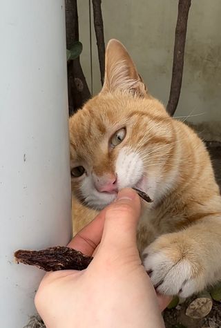 말사장님이 올린 리뷰 사진 2