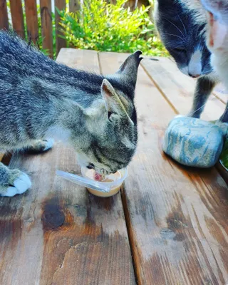 쏭이엄마님이 올린 리뷰 사진 4