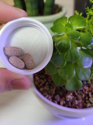 슬림플래닛 녹차카테킨 500mg 애프터밀 — 5점을 준 리뷰어가 2021년 2월 올린 사용 사진