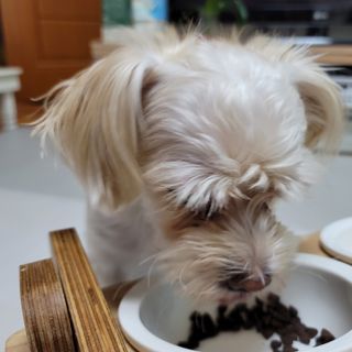 mejoom님이 올린 리뷰 사진 4