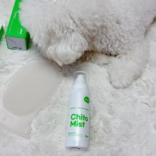 whol 키토미스트 150ml + 실리콘바디브러쉬  강아지 고양이 항균항바이러스, 강력탈취 피부 보습,무향 — 5점을 준 리뷰어가 2022년 9월 올린 사용 사진