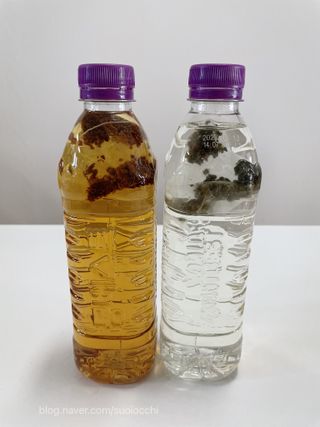 몽베스트 [MONTBEST]위드어스 500mL 20병 — 5점을 준 리뷰어가 2022년 8월 올린 사용 사진