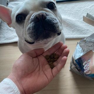 이샤르르님이 올린 리뷰 사진 2