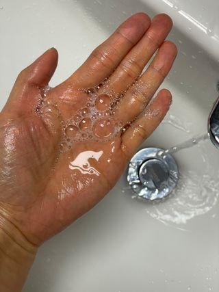 오투에니원 인컨보 바디 퍼퓸 샤워 젤 200ml — 5점을 준 리뷰어가 2023년 2월 올린 사용 사진