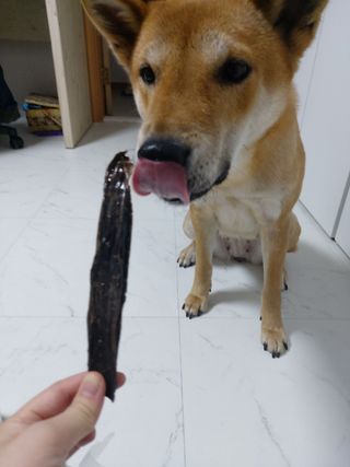 루비님이 올린 리뷰 사진 2