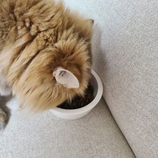 응답하라공팔님이 올린 리뷰 사진 4