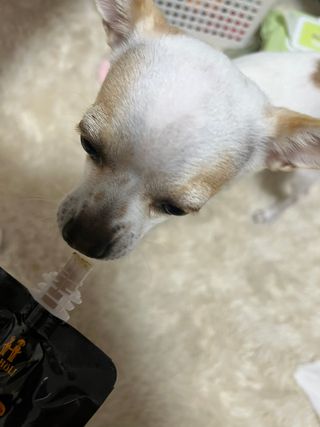 서리h님이 올린 리뷰 사진 3