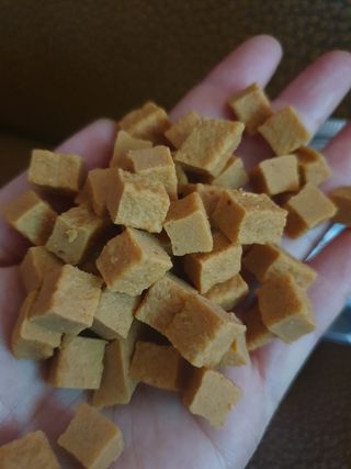 페페로니 진짜 오메가3 연어+소고기 180g+180g — 5점을 준 리뷰어가 2021년 7월 올린 사용 사진