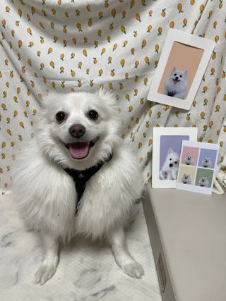 구름님이 올린 리뷰 사진 3