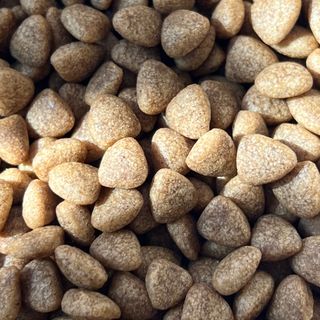 [푸디웜] 라포그 리얼인섹트 소프트키블 스킨 1KG — 5점을 준 리뷰어가 2022년 9월 올린 사용 사진