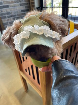 harumom님이 올린 리뷰 사진 4
