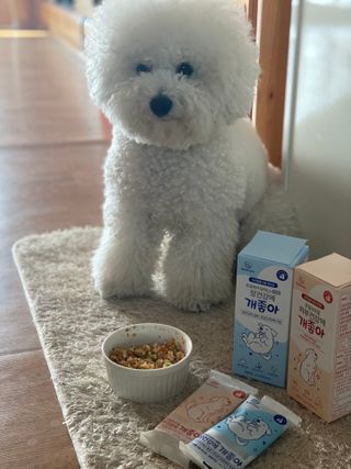 My Pet Care 장건강에 개좋아 — 5점을 준 리뷰어가 2021년 2월 올린 사용 사진