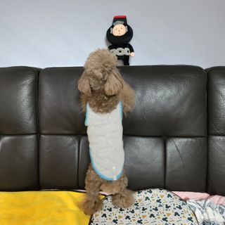 나초단맘님이 올린 리뷰 사진 2