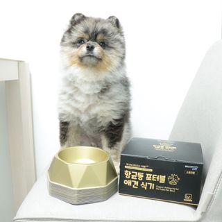 [세싹보울] 세균 싹~ 사라지는 셀앤핏 펫 항균동 애견식기 — 5점을 준 리뷰어가 2021년 6월 올린 사용 사진
