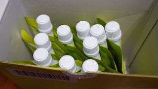 일동제약 마이니 마이니 쏙빠진 곤약젤리 — 5점을 준 리뷰어가 2021년 2월 올린 사용 사진
