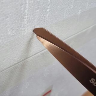 신선님이 올린 리뷰 사진 1