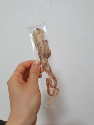 Koo님이 올린 리뷰 사진 3