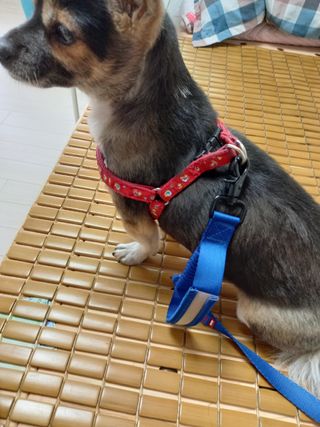 꽃수니어니님이 올린 리뷰 사진 3