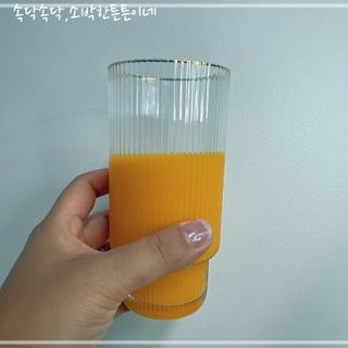 탐라원 제주의 맛, 몬딱주스 4종세트 - 한라봉몬딱주스, 천혜향몬딱주스, 청귤에이드, 당근몬딱주스 — 5점을 준 리뷰어가 2021년 8월 올린 사용 사진