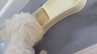 김지영님이 올린 리뷰 사진 3