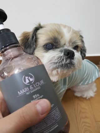 마리앤루이펫샴푸 [mari and louie pet shampoo] — 5점을 준 리뷰어가 2021년 5월 올린 사용 사진