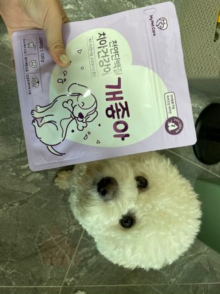 My Pet Care 천연단백질 치아건강에 개좋아 — 5점을 준 리뷰어가 2021년 3월 올린 사용 사진