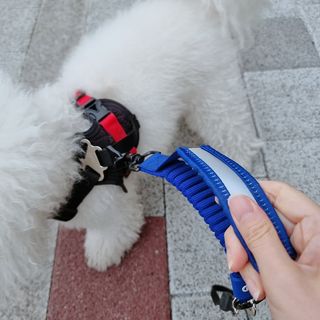 우주님이 올린 리뷰 사진 4