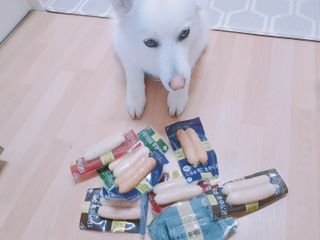 딸랑구둘🥰님이 올린 리뷰 사진 1