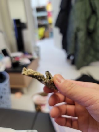 오봉산꽃부각 [만나식품] 오봉산 꽃부각 3가지 맛(오리지널, 새우맛, 매운고추맛) — 5점을 준 리뷰어가 2022년 12월 올린 사용 사진