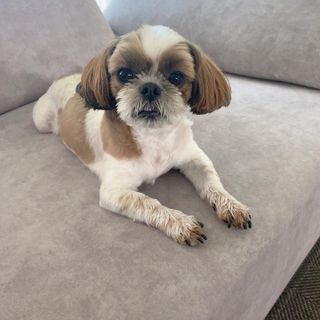 혤님님이 올린 리뷰 사진 3