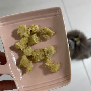 펫에이블 데일리바이트 키토 [비프], [치킨] — 4점을 준 리뷰어가 2021년 8월 올린 사용 사진