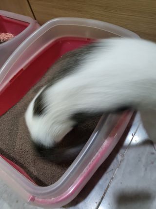치명적매력님이 올린 리뷰 사진 2