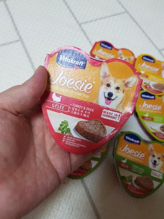비타크래프트 조에시 하트캔 85g 강아지 습식캔 10캔 — 5점을 준 리뷰어가 2021년 8월 올린 사용 사진