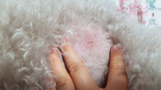 초코찌누나님이 올린 리뷰 사진 3