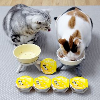 제니언니님이 올린 리뷰 사진 2