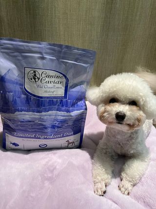 캐닌캐비어 알카라인 홀리스틱 그레이프리 앙뜨레 ALS_4종 오픈스카이, 와일드오션, 프리스피릿, 스페셜니즈 — 5점을 준 리뷰어가 2023년 4월 올린 사용 사진