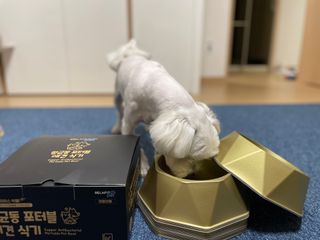 [세싹보울] 세균 싹~ 사라지는 셀앤핏 펫 항균동 애견식기 — 4.5점을 준 리뷰어가 2021년 6월 올린 사용 사진