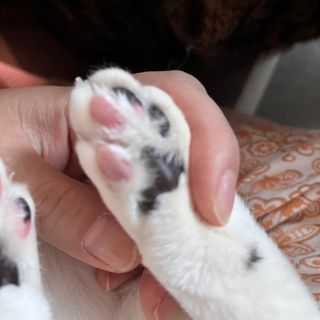 내이름은윤또님이 올린 리뷰 사진 4