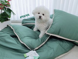 ChoreumKim님이 올린 리뷰 사진 1