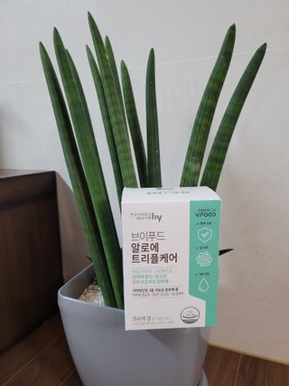 브이푸드 알로에 트리플케어 — 5점을 준 리뷰어가 2022년 4월 올린 사용 사진