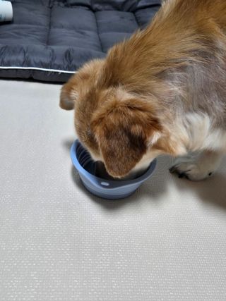 쩡님이 올린 리뷰 사진 2