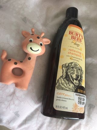 아라아빠님이 올린 리뷰 사진 1