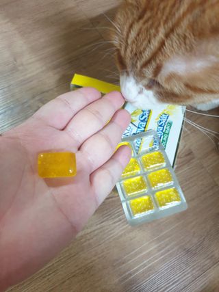 마요라 히말라야 솔트 캔디 2종-페퍼민트 맛, 라임민트 맛 — 4점을 준 리뷰어가 2022년 12월 올린 사용 사진