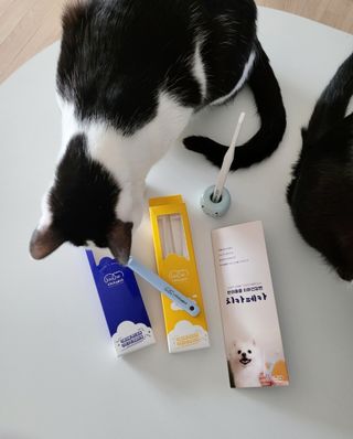 으나님이 올린 리뷰 사진 3