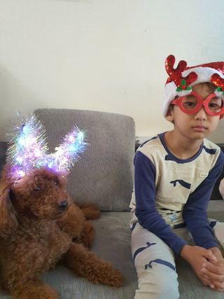 호호엄마님이 올린 리뷰 사진 1