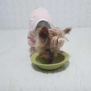 솜희님이 올린 리뷰 사진 3
