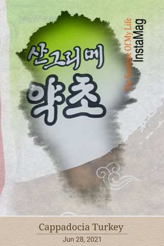 통통이님이 올린 리뷰 사진 4