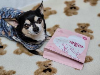 My Pet Care 천연단백질 관절건강에 개좋아 — 5점을 준 리뷰어가 2021년 1월 올린 사용 사진