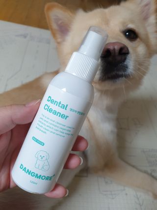 [댕모어 클리너 3종] 아이클리너 / 이어클리너 / 덴탈클리너 3종 세트 (120ml) — 5점을 준 리뷰어가 2023년 9월 올린 사용 사진