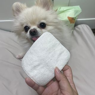 디어엘로디 유기농 무표백 건티슈 60매 — 5점을 준 리뷰어가 2022년 9월 올린 사용 사진